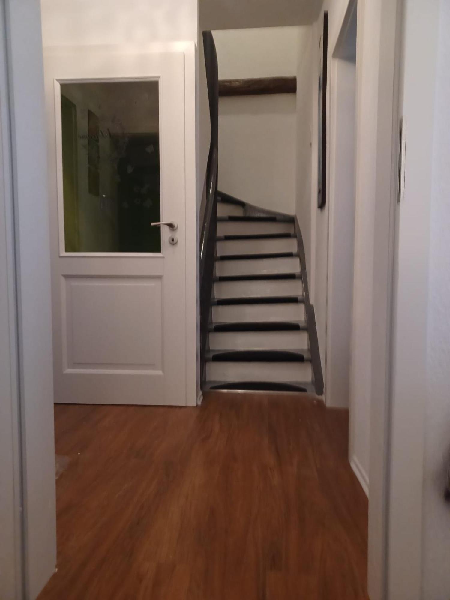 צל אן דר מוזל Luxus Ferienhaus Janina מראה חיצוני תמונה